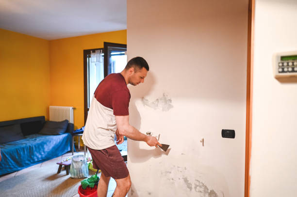 Best Post-Flood Mold Remediation in Newkirk, OK
